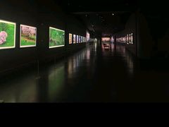 -罗红摄影艺术馆