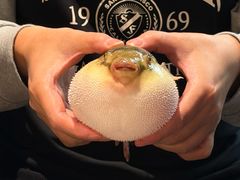 -永安鱼庄·镇江菜(东吴路店)