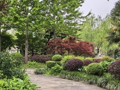 -兰溪青年公园
