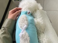 -美联众合动物医院·24h京西诊疗中心
