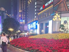 -重庆十八梯传统风貌区