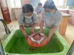 -大连新百佳妇儿医院