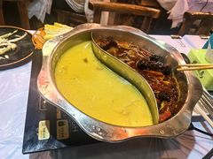 -鲜入围煮花胶鸡海鲜火锅