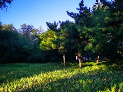 -元大都城垣遗址公园