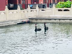 -天津市峰山药王古寺