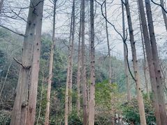 -慧因高丽寺