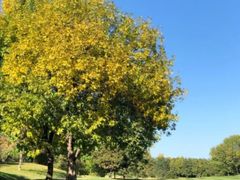 -万柳高尔夫俱乐部