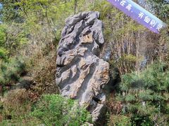 -大蜀山国家森林公园