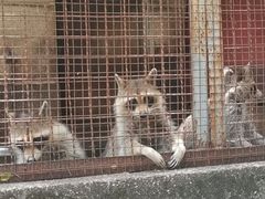 -昆明动物园