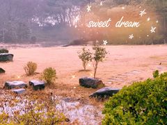 -东湖磨山景区