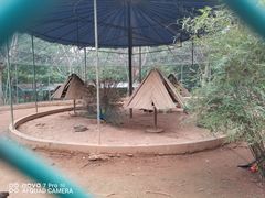 -广东茂名森林公园