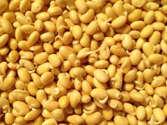 -巴黎曼朵(欧亚商都A座店)