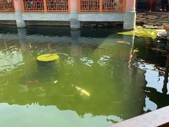 -香麒园·过桥米线·南湖雅宴
