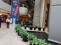 -上海明天广场JW万豪酒店