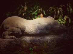 -法云安缦酒店