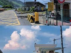 -全乐鱼馆·淳牌有机鱼直营店
