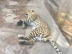 -西安秦岭野生动物园