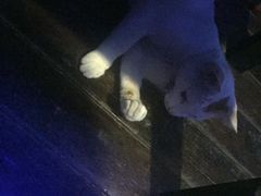 -星宿秘码(鼓浪屿老店)