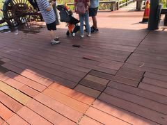 -漩门湾国家湿地公园