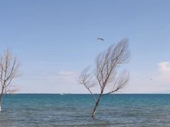 -青海湖二郎剑景区