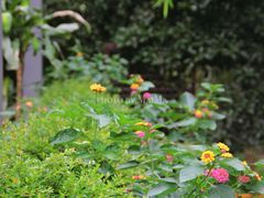 -YUNHE秐合· 雅致浙宴(西溪店)