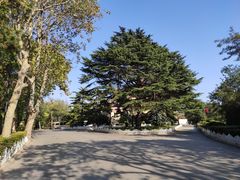 -青岛德国总督楼旧址博物馆