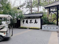 -天目湖山水园