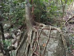 -七仙岭温泉国家森林公园