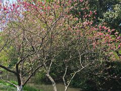 -一江春水·杭帮臻宴(三台山店)