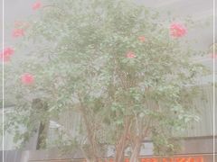 -荣誉国际酒店-海鲜自助餐厅(迎宾大道店)