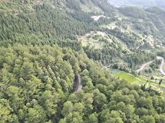 -重庆睡佛山森林公园