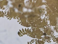 -龙门涧景区
