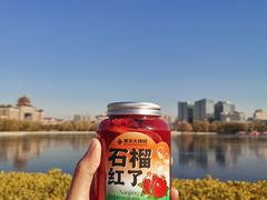 -莲花池公园
