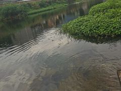 -山沟沟景区