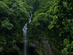 -龙苍沟森林公园