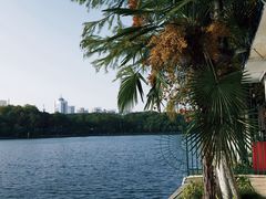 -东湖落雁景区