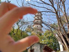 -江心屿景区
