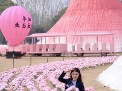 -祥源·阜阳生态乐园