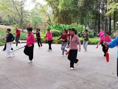 -晓港公园