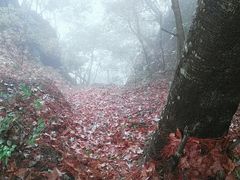 -溪口-滕头旅游景区