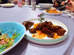 -丁老爷子苏香圆