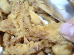 现炸酥肉-沸炉重庆老火锅(军事博物馆店)