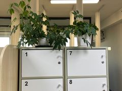 -蓝鲸24h自习室(花园桥店)