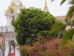 -洛阳白马寺