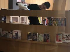 -CAT’S MEWSTAR CAFE·喵星球猫屋(晴湾咖啡店)