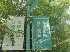 -翠矶山公园