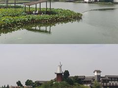-金卉庄园