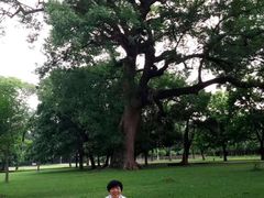 -共和国摇篮旅游区-红井景区