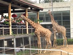 -石家庄市动物园