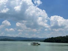 -广州市流溪河国家森林公园